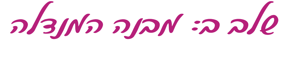 כותרת שלב ב - מבנה המנדלה