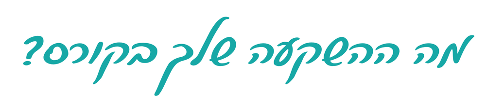 כותרת מה ההשקעה שלך בקורס