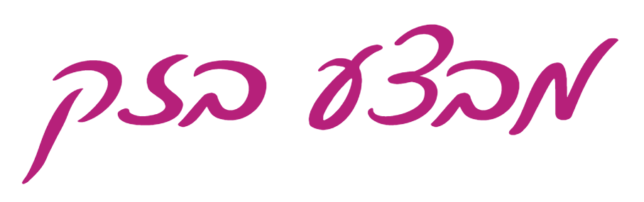 כותרת בכתב יד: מבצע בזק